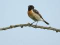 24-DSC01116-