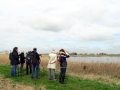 009 DSC08936 Waverhoek_