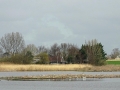 010 DSC08926 Waverhoek_