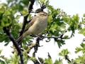 14-DSC01951-