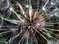 19-DSC01749-