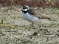 21-DSC01729-