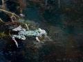 23-DSC02133-