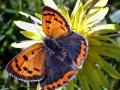 24-DSC01821-