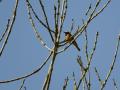 25-DSC02057-G