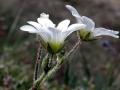 26-DSC02095-