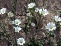27-DSC02097-