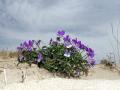 31-DSC02128-