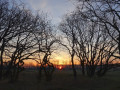 01-DSC09980-