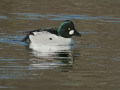 06-DSC02011-