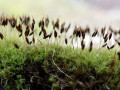 08-DSC00097-