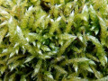 09-DSC00105-
