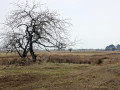12-DSC00030-