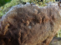 18-DSC00236-