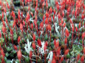 19-DSC00217-