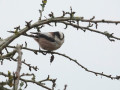 21-DSC00053-