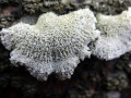 27-DSC00300-