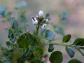 29-DSC00322-