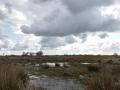 05-DSC06222-Haasvelderduin.