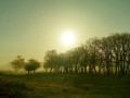 01-DSC01234-