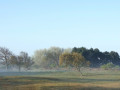 02-DSC01253-