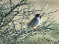 04-DSC01280-
