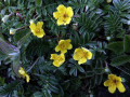 10-DSC01832-