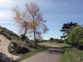 12-DSC01605-