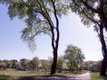 15-DSC01651-