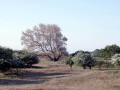 19-DSC01707