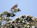 20-DSC01700-