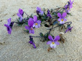 24-DSC01262-