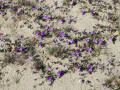 25-DSC01802-