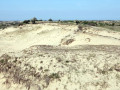27-DSC01821-Kop-van-het-grote-vlak-25-m