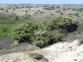 28-DSC01824-