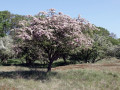 34-DSC01873-