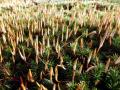01-DSC09906-