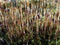 06-DSC09873-