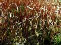 08-DSC09884-
