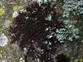 10-DSC00023-