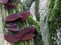 12-DSC00063-