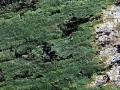 14-DSC00026-