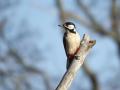 15-DSC09798-
