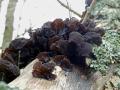 19-DSC00171-