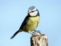 20-DSC09790-