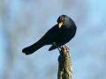 25-DSC00297-