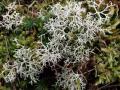 27-DSC00201-