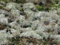 28-DSC00214-