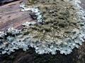 30-DSC09965-