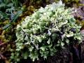 32-DSC00081-